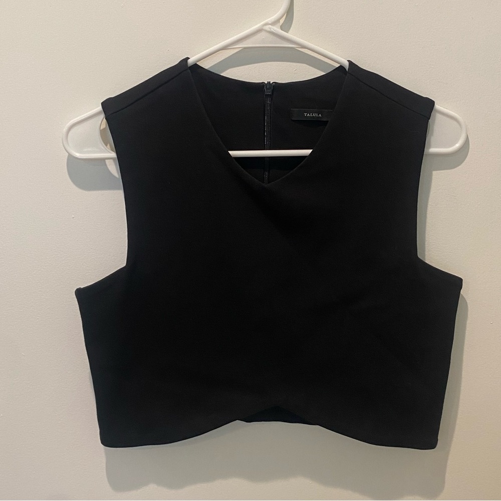 Aritzia Talula black stretch cropped v-neck top